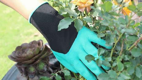 有粉和无粉乳胶手套的含义